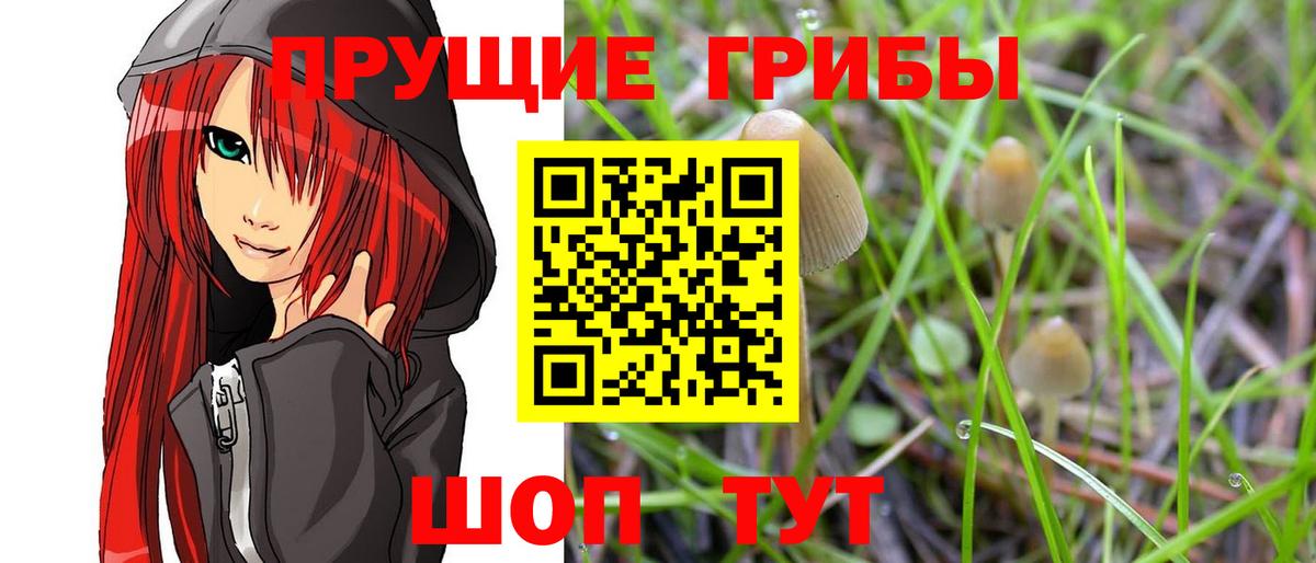 Балаково  Псилоцибиновые грибы прущие грибы  Вход с VPN 