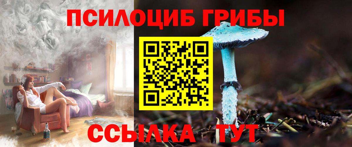 Псилоцибиновые грибы Psilocybine cubensis Балаково